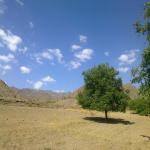 روستای گروه